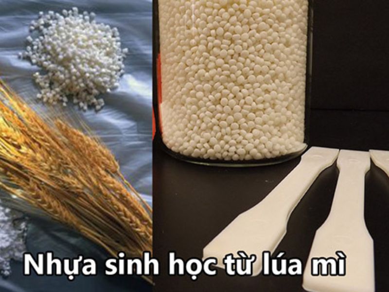 Nhựa sinh học từ bột mì là gì?